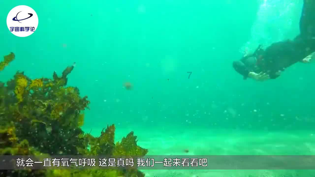 探索知识星球平台“梅花”台风到来,绍兴禁止在钱塘江沿线观潮,台风来临要注意什么?,尽享学习与交流盛宴